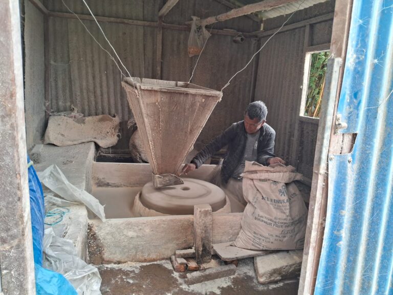 Lees meer over het artikel Een watermolen voor graan in Gangyul (Aardbeving hulp)